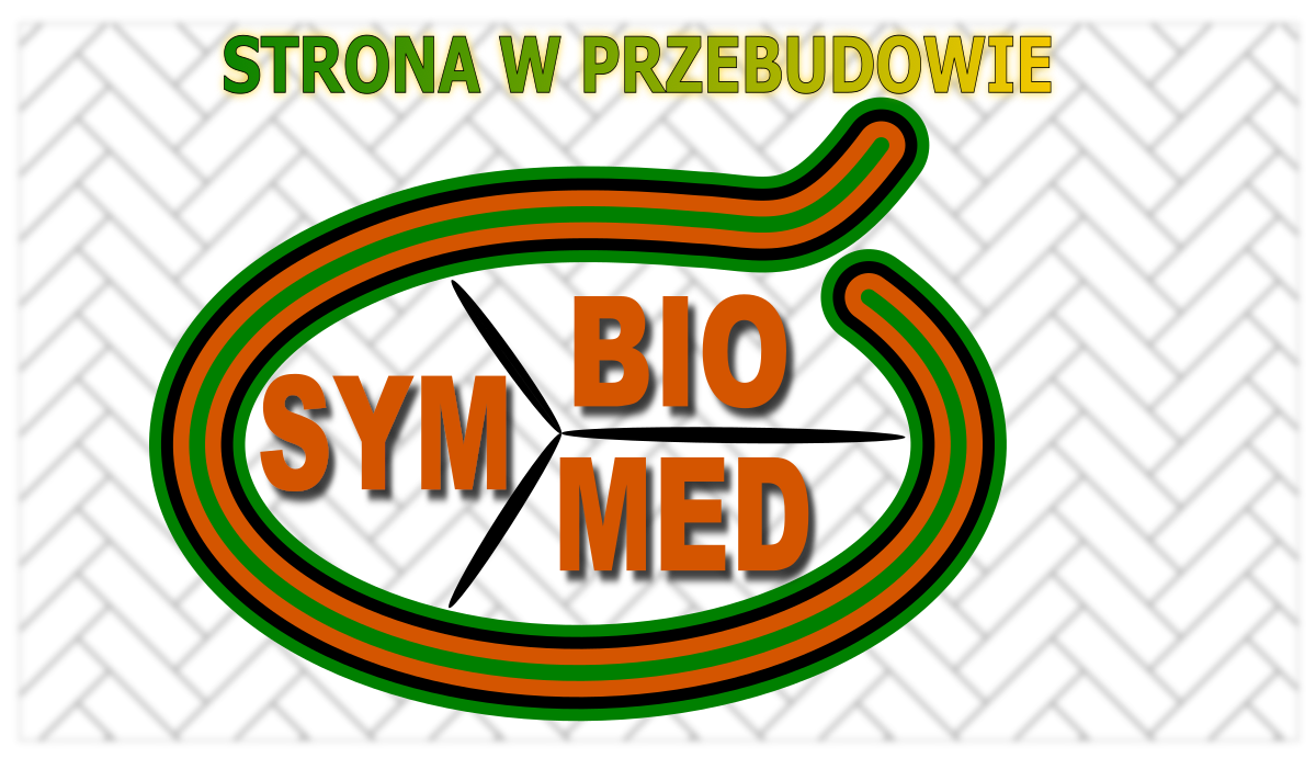 Mad Designer at work